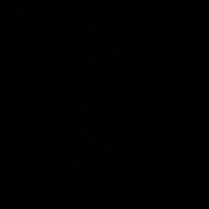 Meet your Posher, Raquel